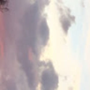 Meet your Posher, Isabelle